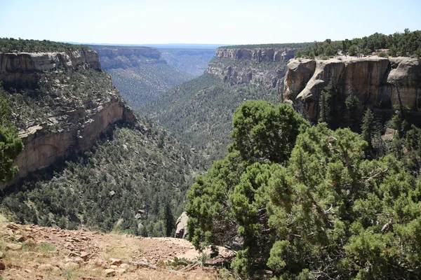 Navajo Canyon, Mesa Verde National Park, Colorado — Stockfoto