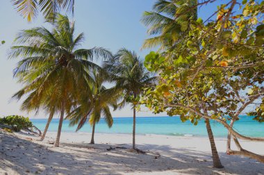 Küba, Guardalavaca 'daki Playa Esmeralda' nın sihirli renkleri. Yüksek kalite fotoğraf