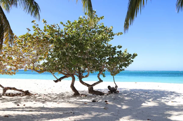 Küba, Guardalavaca 'daki Playa Esmeralda' nın sihirli renkleri. Yüksek kalite fotoğraf
