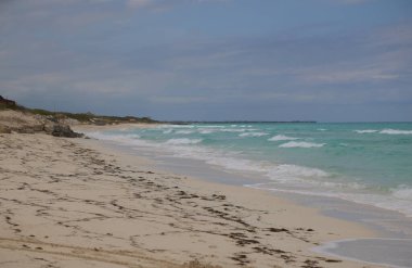 Küba, Cayo Santa Maria plajı. Yüksek kalite fotoğraf