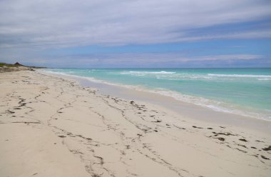 Küba, Cayo Santa Maria plajı. Yüksek kalite fotoğraf