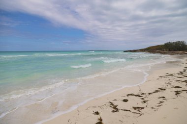 Küba, Cayo Santa Maria plajı. Yüksek kalite fotoğraf