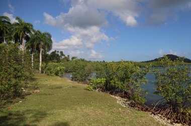 Alejandro de Humboldt Doğal Parkı, Küba. Yüksek kalite fotoğraf