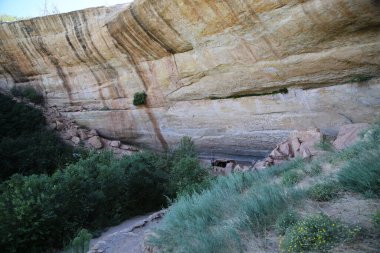 Mesa Verde Ulusal Parkı 'ndaki Step House, Colorado. Yüksek kalite fotoğraf