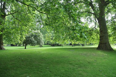 Londra 'daki St. James Parkı. Yüksek kalite fotoğraf