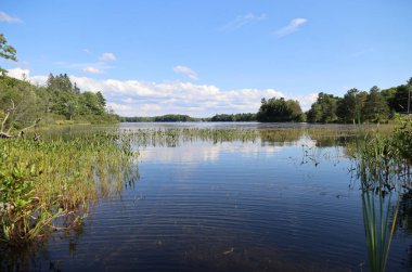 View of one of the lakes in the Muskoka area, Ontario. High quality photo