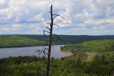 View of Algonquin Provincial Park, Ontario. High quality photo