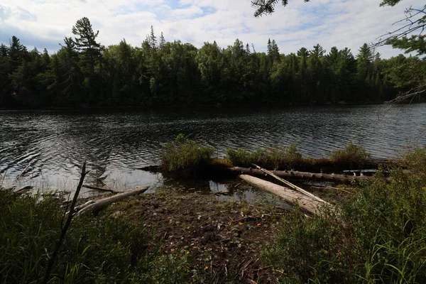 Lake in La Mauricie National Park, Quebec. High quality photo