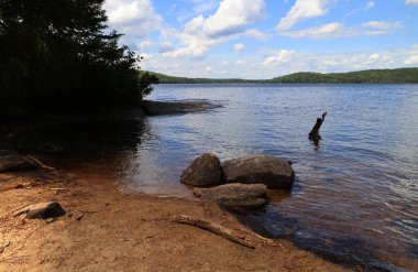 Small lakeside beach in Algonquin National Park, Ontario. High quality photo
