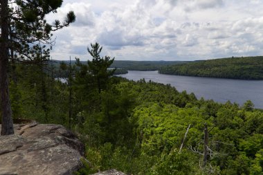 View of Algonquin Provincial Park, Ontario. High quality photo