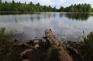 Lake in La Mauricie National Park, Quebec. High quality photo