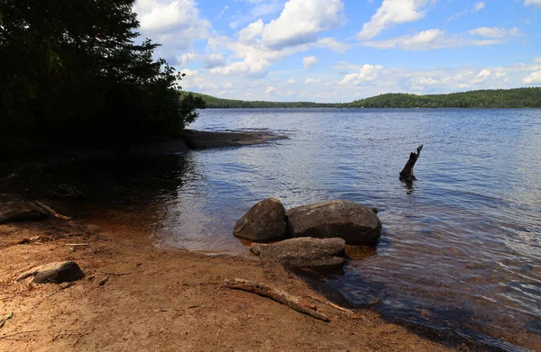 Small lakeside beach in Algonquin National Park, Ontario. High quality photo