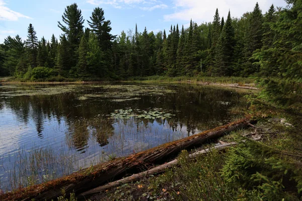 Озеро Національному Парку Маурічі Квебек Фотографія Високої Якості — стокове фото