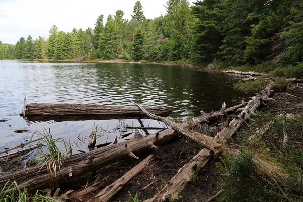 Lake in La Mauricie National Park, Quebec. High quality photo