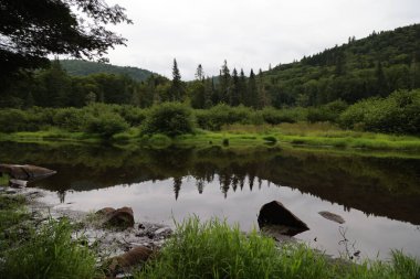 Glimpse of La Mauricie National Park, Quebec. High quality photo