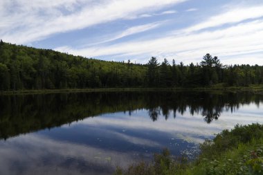 Glimpse of La Mauricie National Park, Quebec. High quality photo