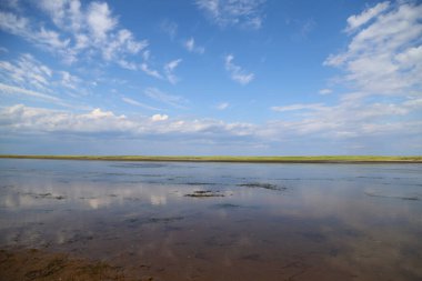 Kanada 'daki Kouchibouguac Ulusal Parkı' nda manzara. Yüksek kalite fotoğraf