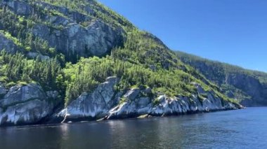 Saguenay Fjord Ulusal Parkı. Yüksek kalite 4k görüntü