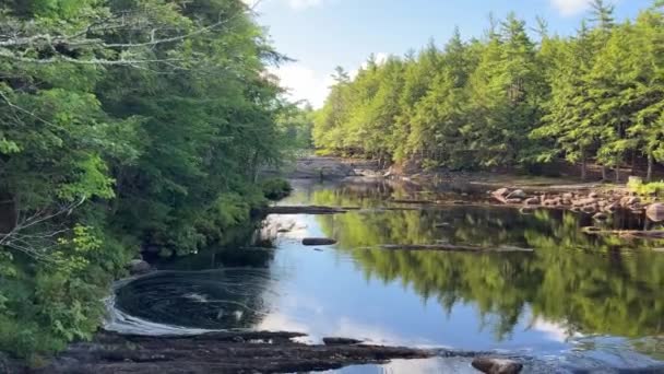 Mersey River Kejimkujik Vysoce Kvalitní Záběry — Stock video