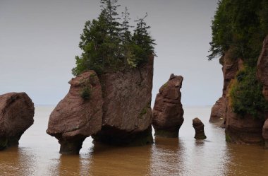 Hopewell Cape, Kanada 'nın ünlü kayaları. Yüksek kalite fotoğraf