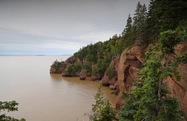 Las Famosas Rocas Hopewell Cape Canadá Foto Alta Calidad —  Fotos de Stock