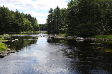 Görüntü: Kejimkujik Ulusal Parkı, Kanada. Yüksek kalite fotoğraf