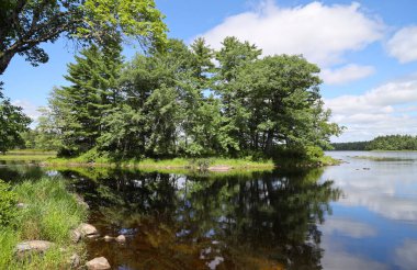 Görüntü: Kejimkujik Ulusal Parkı, Kanada. Yüksek kalite fotoğraf