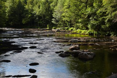 Görüntü: Kejimkujik Ulusal Parkı, Kanada. Yüksek kalite fotoğraf