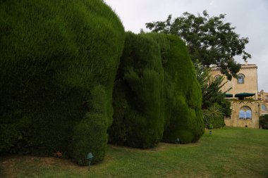 Ravello, İtalya 'daki güzel Villa Cimbrone bahçeleri. Yüksek kalite fotoğraf