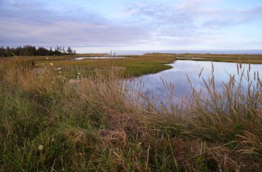 Gün batımında Sable Burnu, Nova Scotia. Yüksek kalite fotoğraf