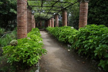 İtalya, Ravello 'daki Villa Cimbrone parkının ayrıntıları. Yüksek kalite fotoğraf