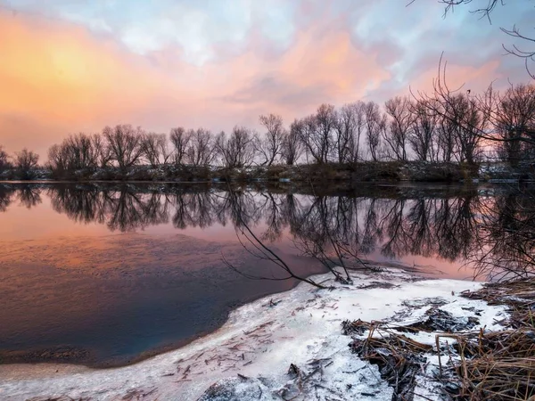 Утро Розовых Тонах Реке Начинает Замерзать Деревья Берегу — стоковое фото