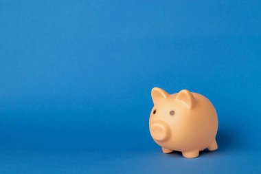 Pembe kumbara mavi arka planda izole edilmiş. Para biriktirme ve mevduat kavramı