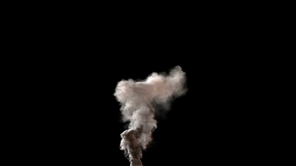 Hoge-gedetailleerde vertraagd dichte rook — Stockvideo