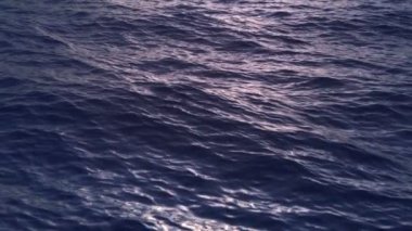 ağır çekim sinek rahatsız okyanus üzerinde
