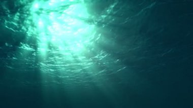 Okyanus yüzeyinin gelen sualtı gördüm