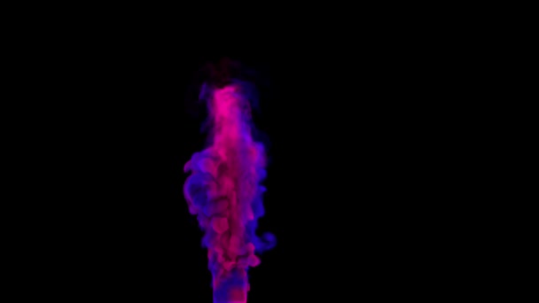 Χρωματισμένο κόκκινο μπλε μωβ καπνό να αναδύεται — Αρχείο Βίντεο