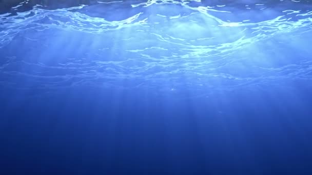 Looped ocean surface seen from underwater — Stock Video