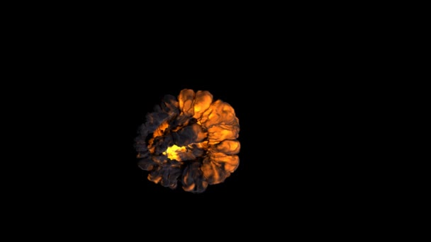Vurige explosie geïsoleerd op zwarte achtergrond — Stockvideo