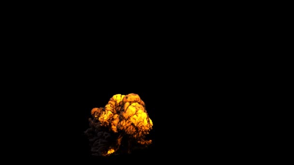 Explosion isolated on black background — Stock Video