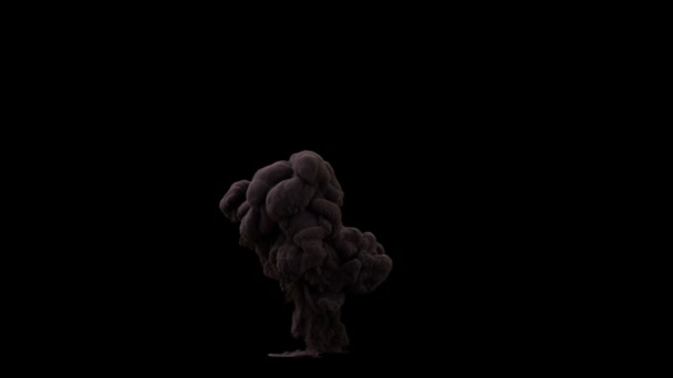 Explosion de feu avec une énorme fumée dense 