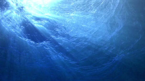 High quality Looping animation of ocean waves from underwater with floating plancton. Light rays shining through. Great popular marine Background. (seamless loop, HD, high definition 1080p) — Stock Video