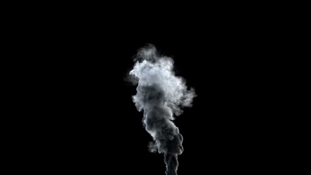 High-detailed slow-motion dense smoke — Stock Video