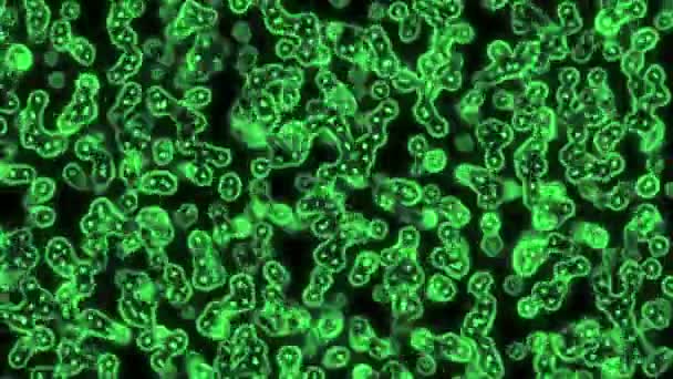Green cells and bacteria under microscope — Stock Video