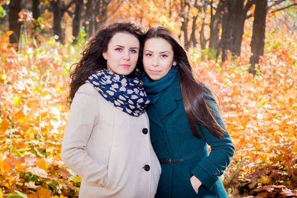 Mladé dívky v podzimním parku — Stock fotografie