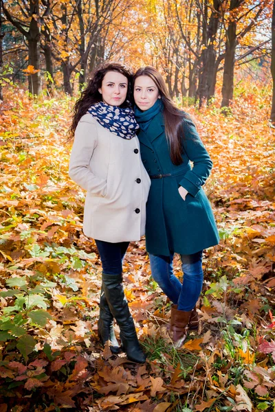 Jonge meisjes in de herfst park — Stockfoto