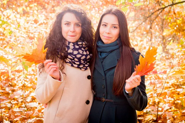 Young girls in the autumn park — Stock Photo, Image