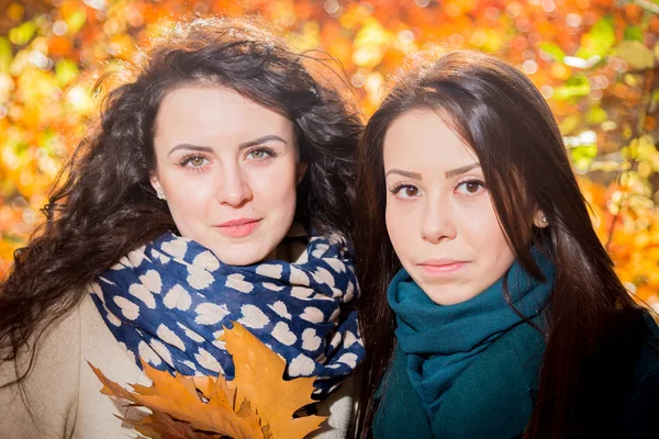 Mladé dívky v podzimním parku — Stock fotografie