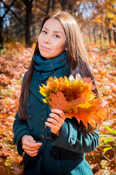 Ragazza con mazzo di foglie nel parco autunnale — Foto Stock