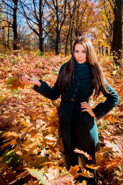 Menina com um monte de folhas no parque de outono — Fotografia de Stock